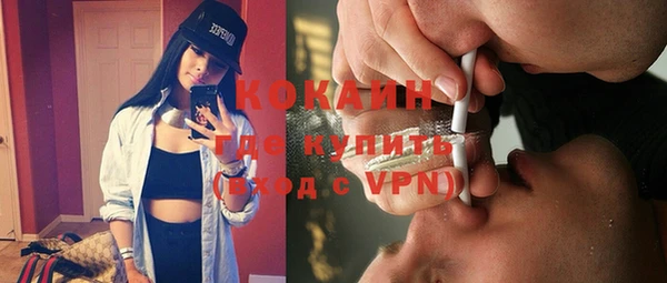 прущие грибы Лагань