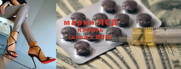 прущие грибы Лагань