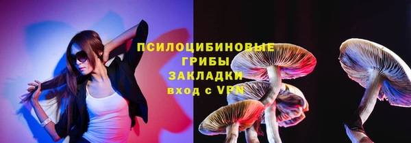 прущие грибы Лагань