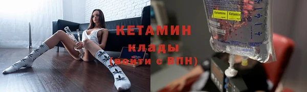 прущие грибы Лагань