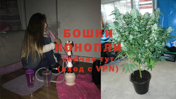 крисы Ладушкин