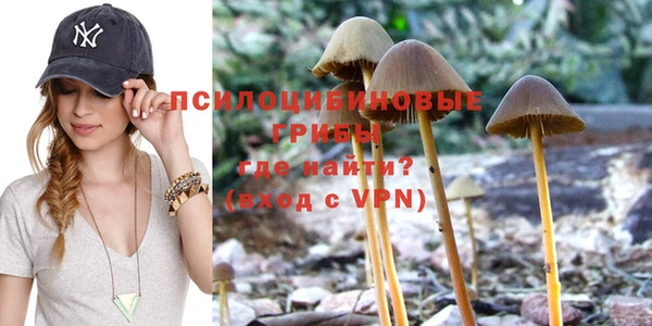 крисы Ладушкин