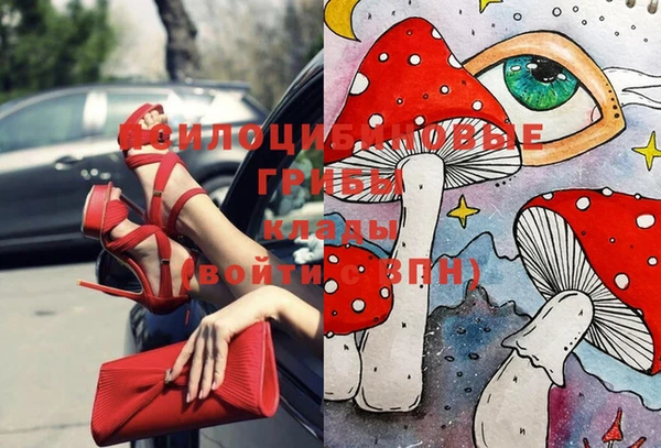 крисы Ладушкин