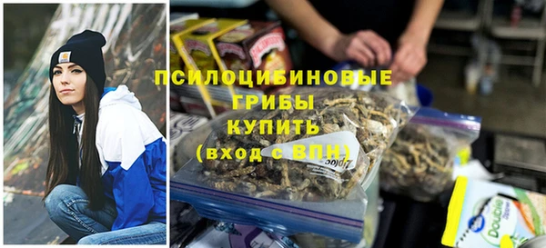 крисы Ладушкин