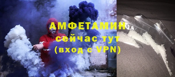 мдпв Туринск