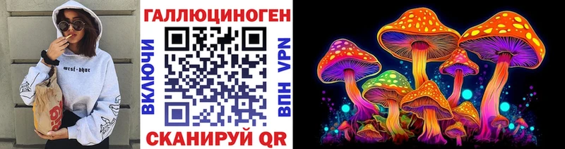 сколько стоит Фрязино Галлюциногенные грибы MAGIC MUSHROOMS